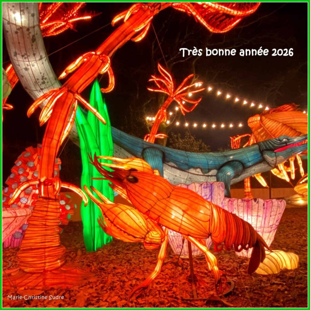 L’image actuelle n’a pas de texte alternatif. Le nom du fichier est : BONNE-ANNEE-2026-MCS-Animaux-de-lumiere-1.jpg