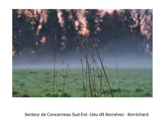 Évolution des prairies aux abords de Concarneau
